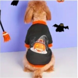 Halloween Pumpkin Witch Dog Sweater XXL